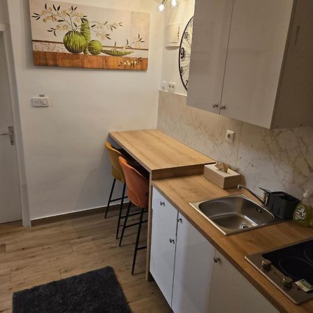 Apartment Maja - Strict Center Of 萨格勒布 外观 照片