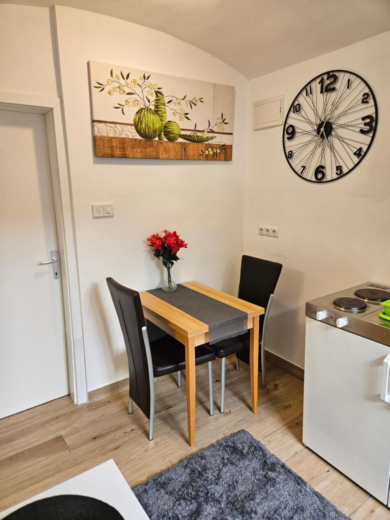 Apartment Maja - Strict Center Of 萨格勒布 外观 照片