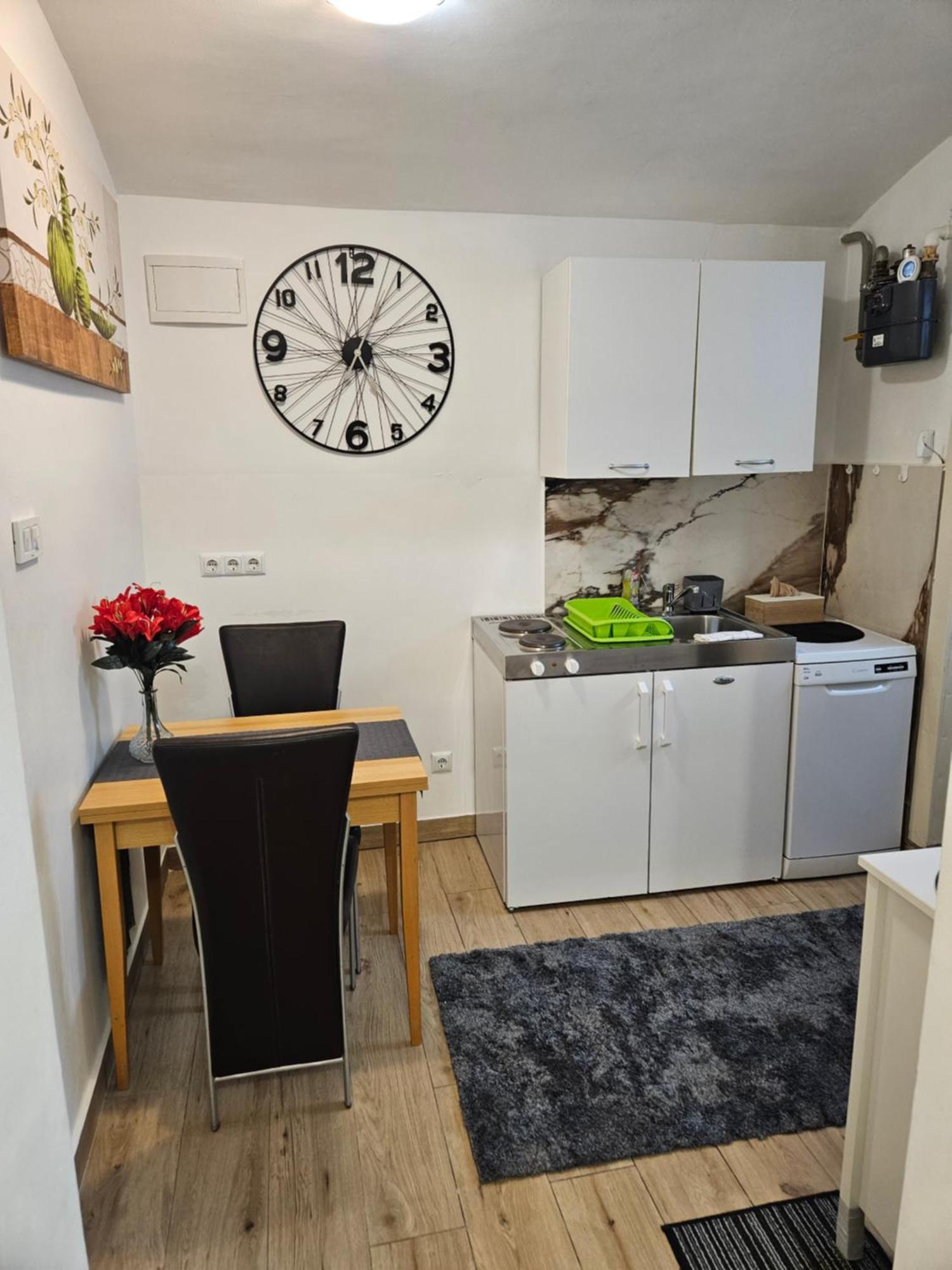 Apartment Maja - Strict Center Of 萨格勒布 外观 照片