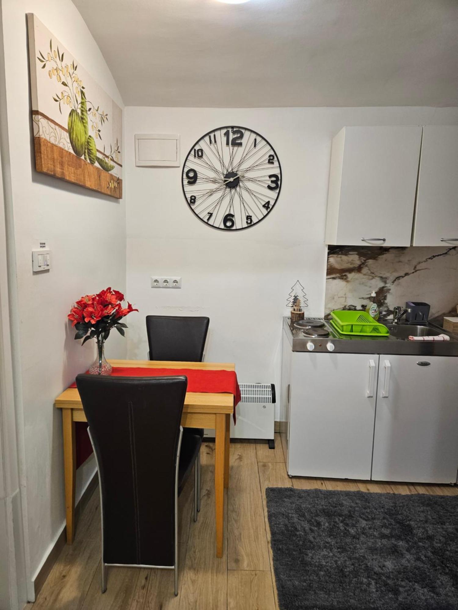 Apartment Maja - Strict Center Of 萨格勒布 外观 照片