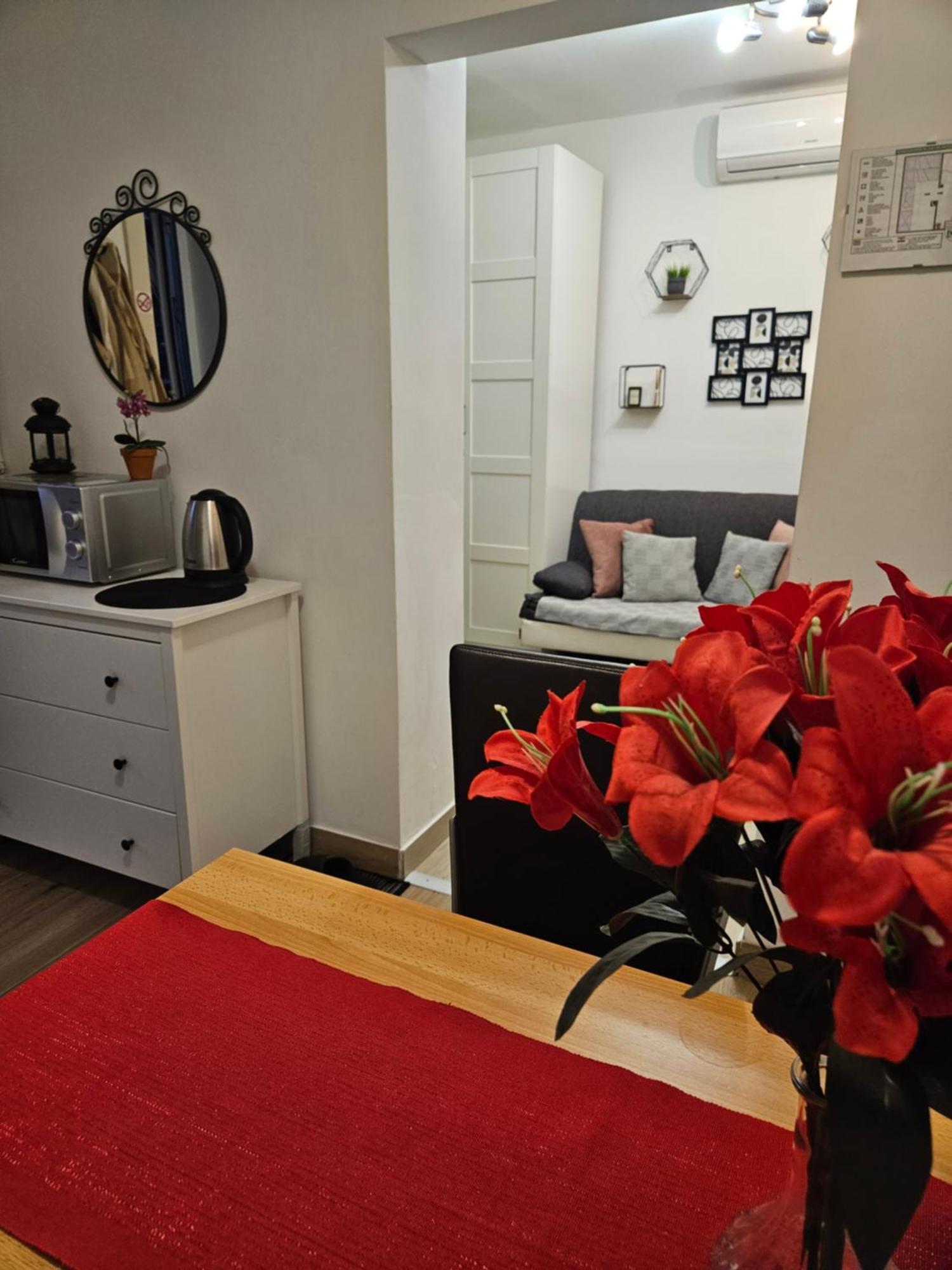 Apartment Maja - Strict Center Of 萨格勒布 外观 照片