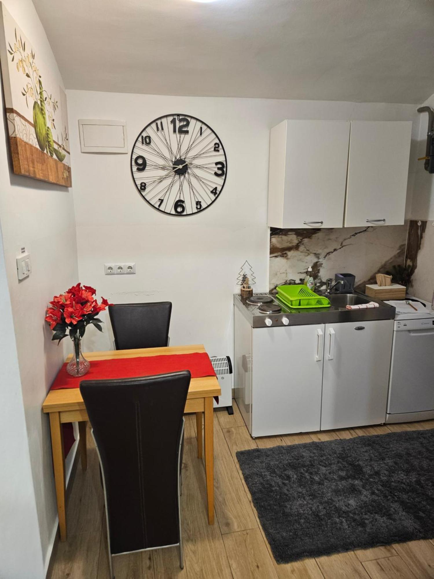 Apartment Maja - Strict Center Of 萨格勒布 外观 照片