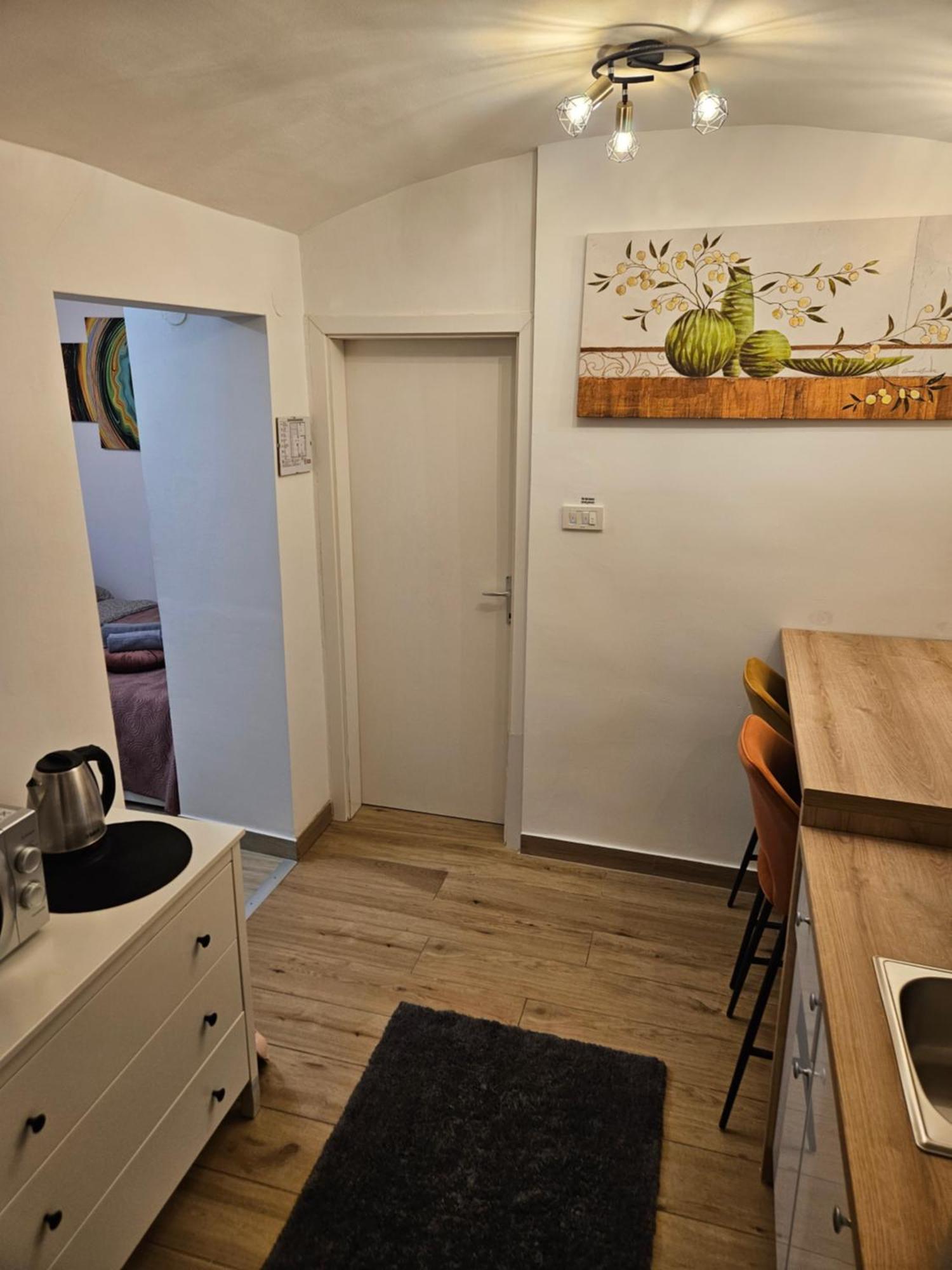 Apartment Maja - Strict Center Of 萨格勒布 外观 照片