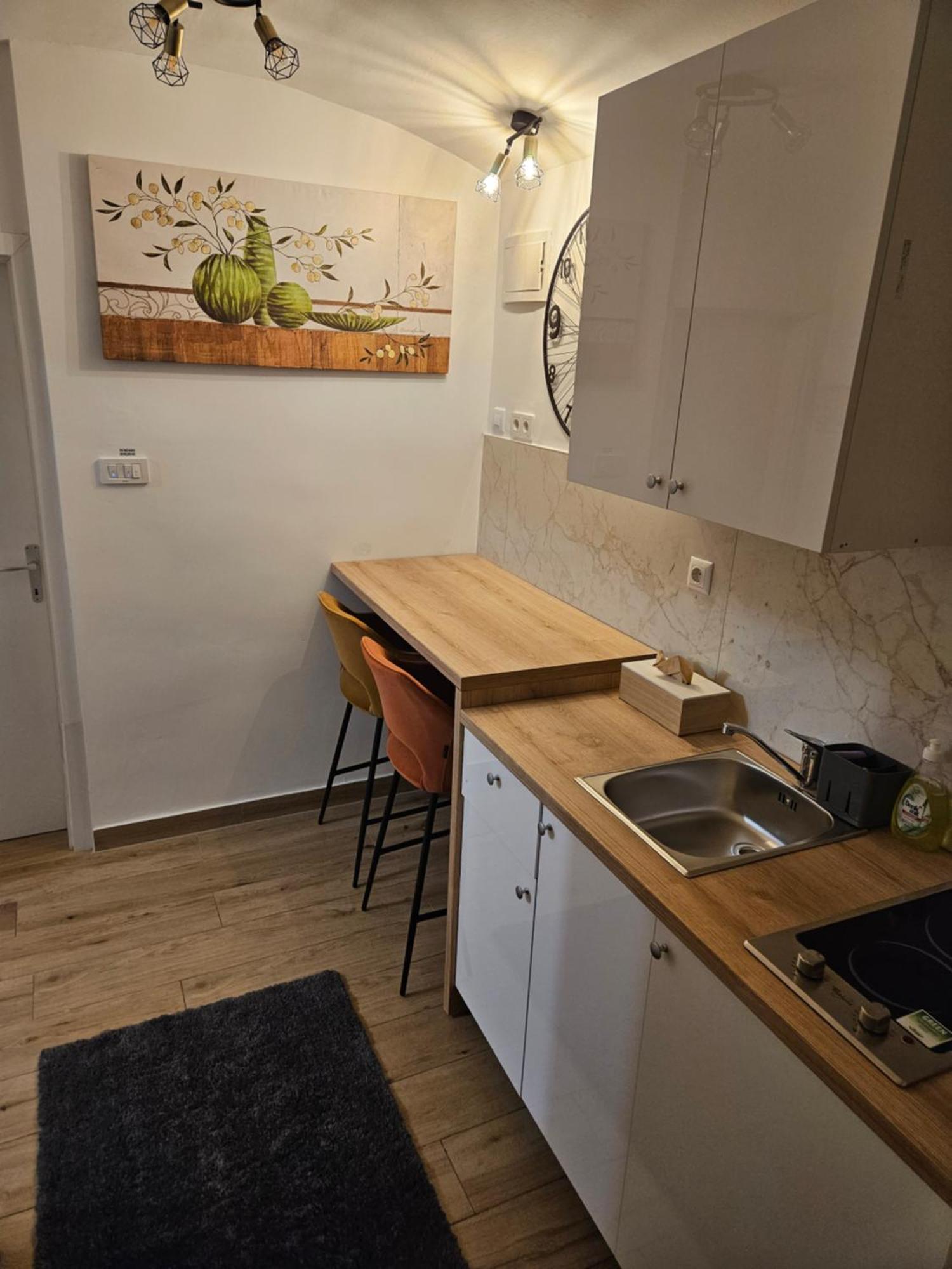 Apartment Maja - Strict Center Of 萨格勒布 外观 照片
