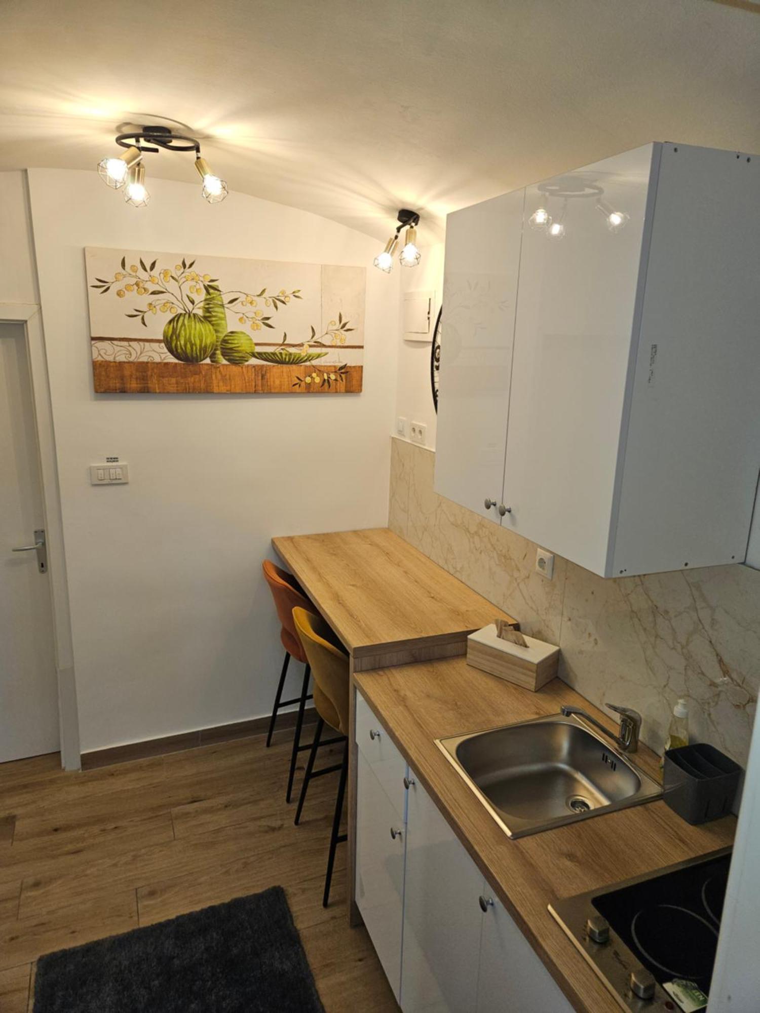 Apartment Maja - Strict Center Of 萨格勒布 外观 照片